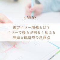 後方エコー増強の意味と観察時の注意点を解説