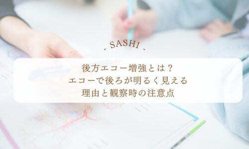 後方エコー増強の意味と観察時の注意点を解説