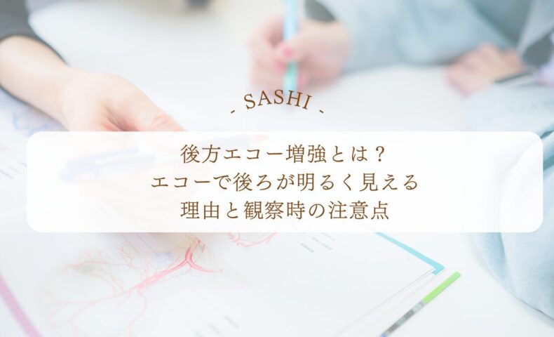 後方エコー増強の意味と観察時の注意点を解説