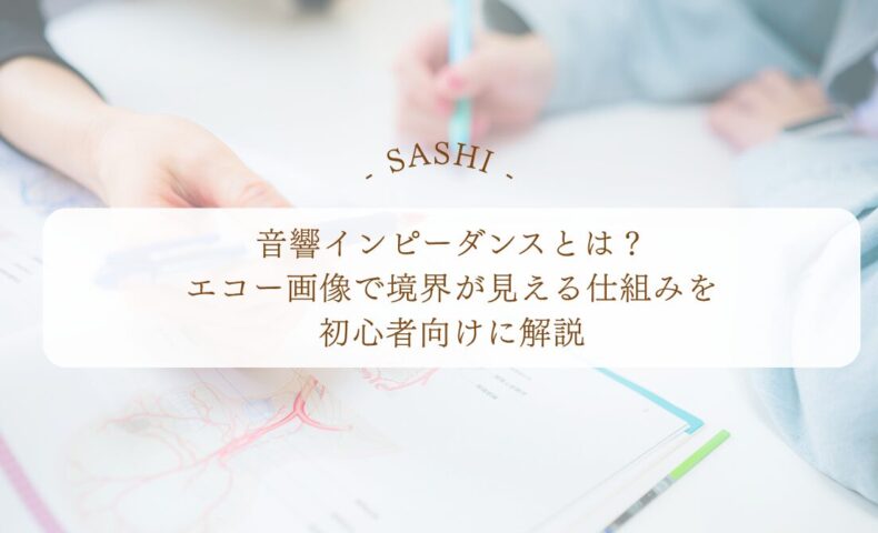 音響インピーダンスとエコー画像の境界が見える仕組みを解説