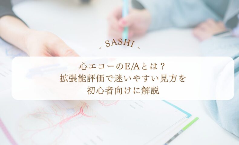 心エコーE/Aの意味と拡張能評価の見方を解説