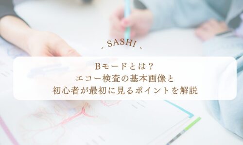 Bモード画像の基本とエコー検査で見るポイント