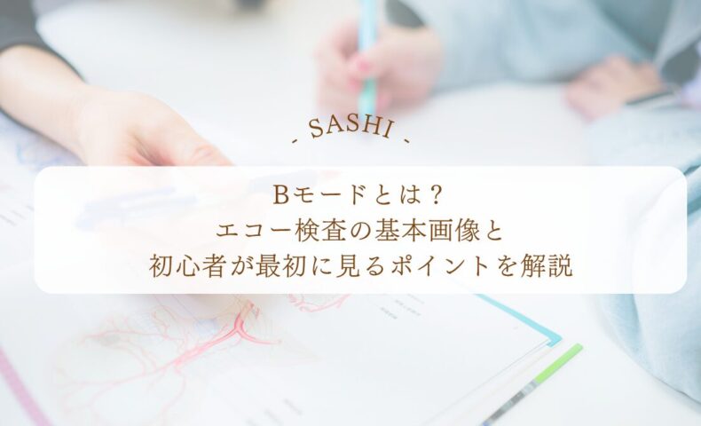Bモード画像の基本とエコー検査で見るポイント