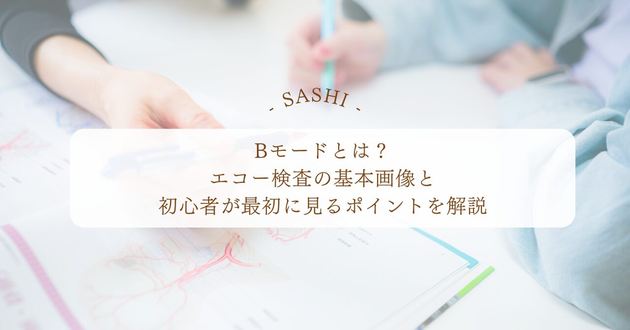Bモード画像の基本とエコー検査で見るポイント