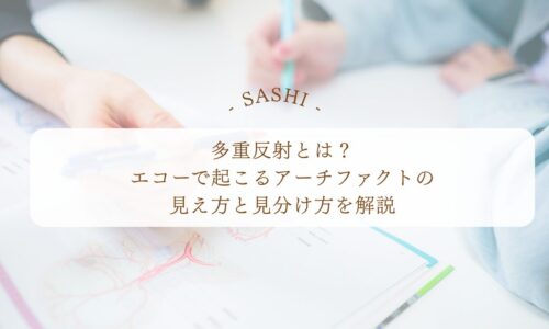 多重反射とエコーで起こるアーチファクトの見え方を解説