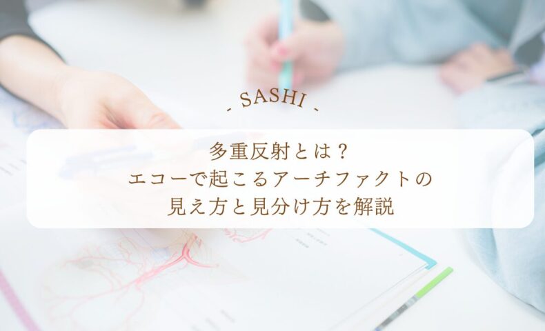 多重反射とエコーで起こるアーチファクトの見え方を解説