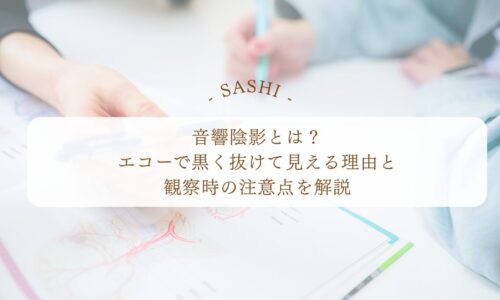 音響陰影がエコーで黒く抜けて見える理由と観察時の注意点
