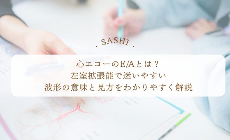 心エコーのE/Aと左室拡張能の見方をわかりやすく解説