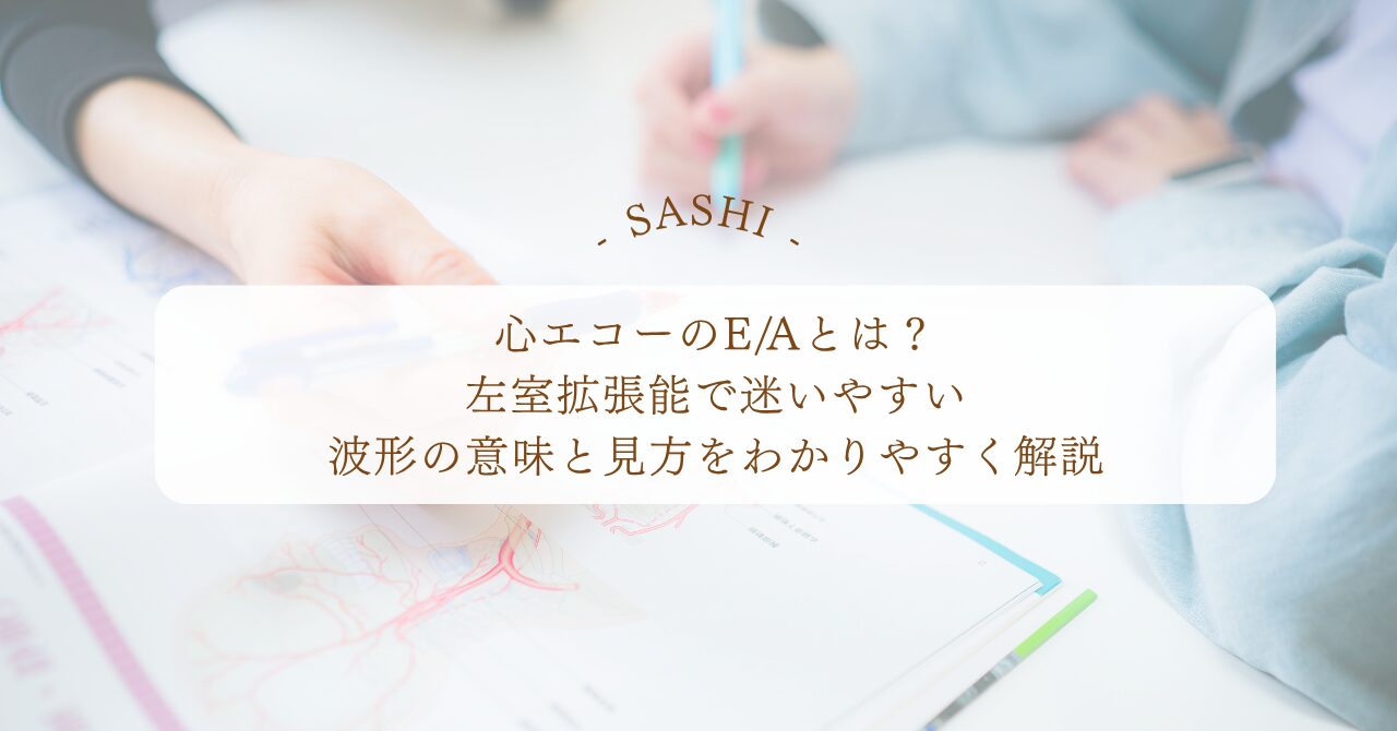 心エコーのE/Aと左室拡張能の見方をわかりやすく解説
