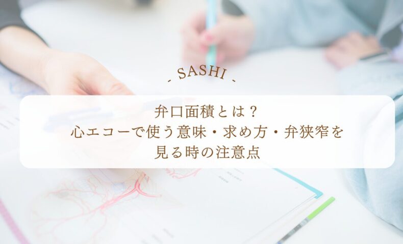心エコーで見る弁口面積の意味と弁狭窄の注意点