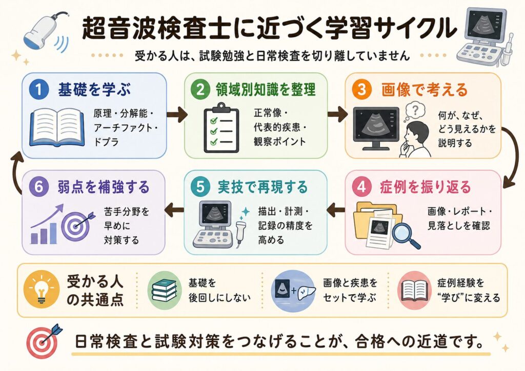 超音波検査士に向けて基礎学習・領域別知識・画像理解・症例振り返り・実技確認・弱点補強を行う学習サイクル図解