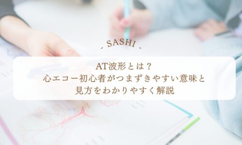 AT波形の意味と見方を心エコー初心者向けにわかりやすく解説