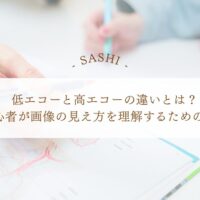 低エコーと高エコーの違いを初心者向けに理解するための基本解説