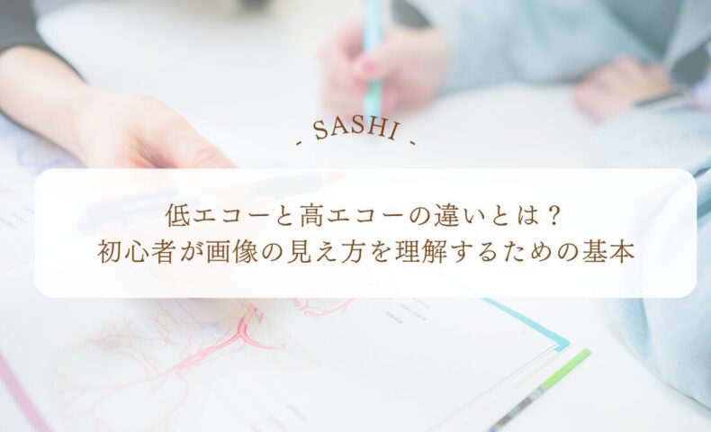 低エコーと高エコーの違いを初心者向けに理解するための基本解説