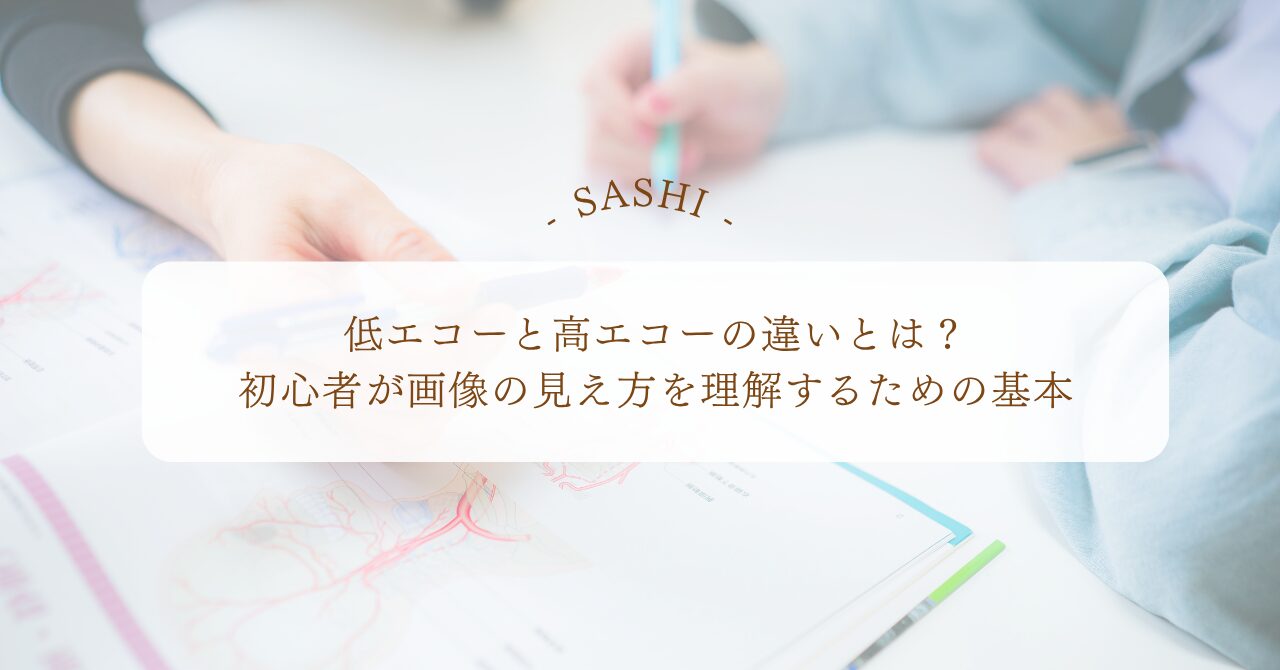 低エコーと高エコーの違いを初心者向けに理解するための基本解説