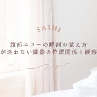 腹部エコーの解剖の覚え方と臓器の位置関係を初心者向けに伝え