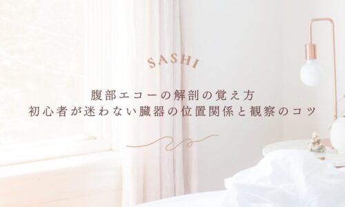 腹部エコーの解剖の覚え方と臓器の位置関係を初心者向けに伝え