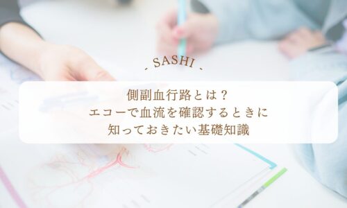 壁運動異常を心エコーで見るポイントと表現の解説