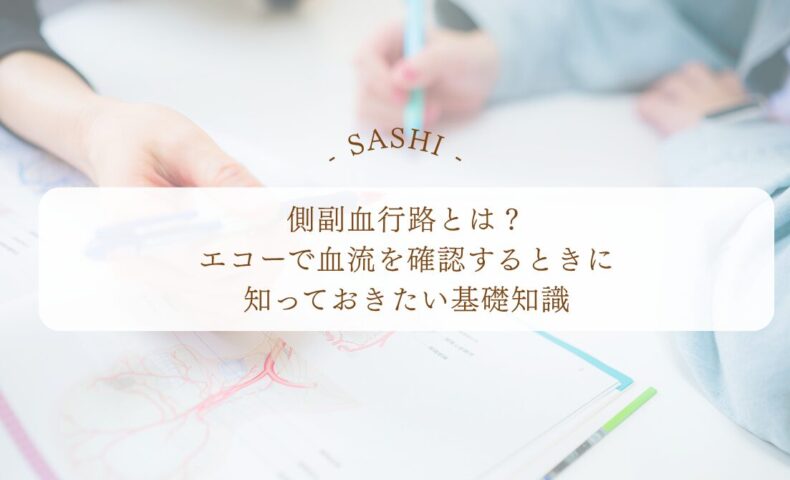 壁運動異常を心エコーで見るポイントと表現の解説