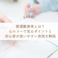 壁運動異常を心エコーで見るポイントと表現の解説