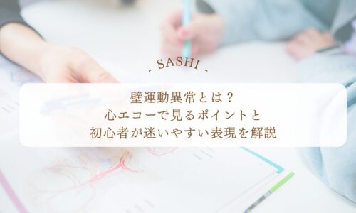 壁運動異常を心エコーで見るポイントと表現の解説