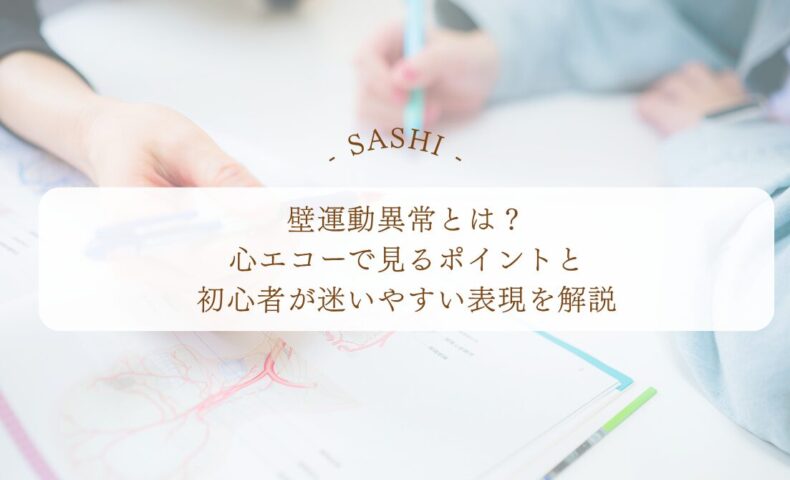 壁運動異常を心エコーで見るポイントと表現の解説
