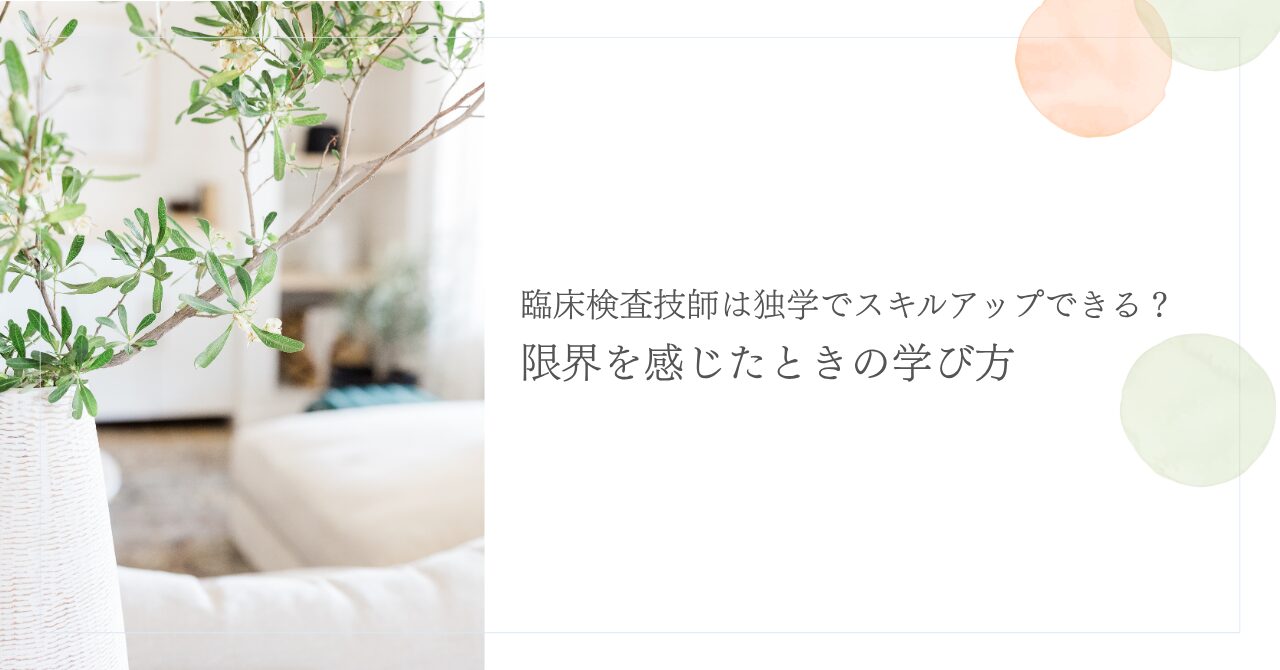 臨床検査技師が独学でエコースキルを伸ばす勉強法