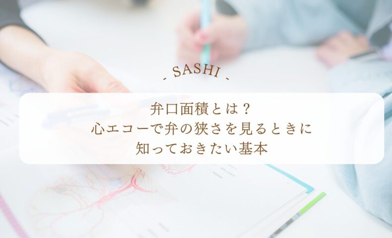 弁口面積を心エコーで評価する基礎知識