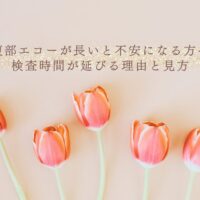 腹部エコーが長い理由と検査時間への不安を減らす見方