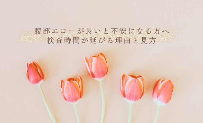 腹部エコーが長い理由と検査時間への不安を減らす見方