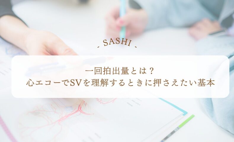 一回拍出量を心エコーで理解するSVの基本