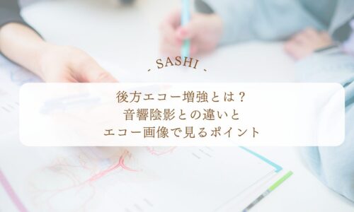 後方エコー増強と音響陰影の違いをエコー画像で学ぶ