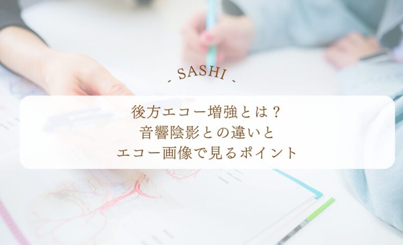 後方エコー増強と音響陰影の違いをエコー画像で学ぶ