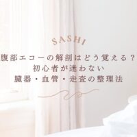 腹部エコーの覚え方と臓器・血管走査の整理法