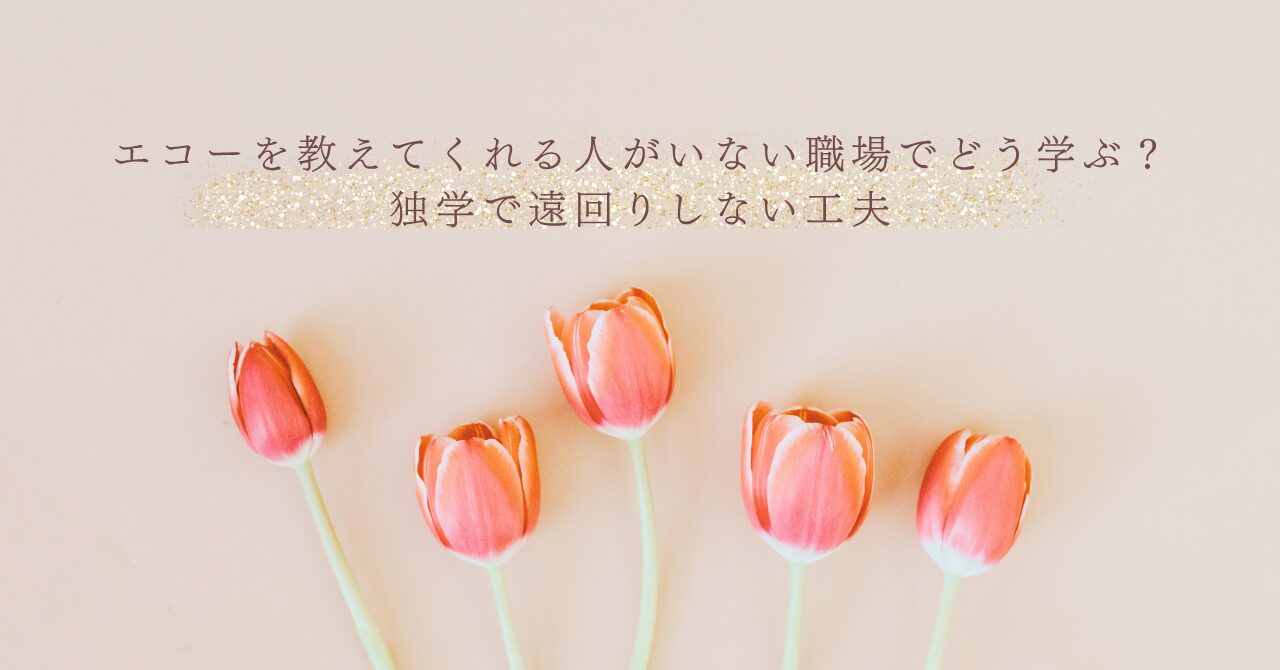 エコー独学で遠回りしないための学び方の工夫