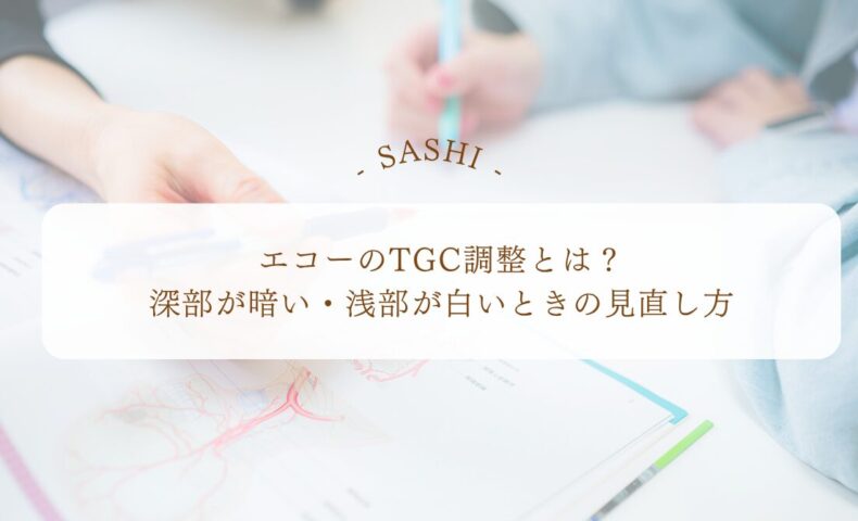 エコーTGC調整で深部・浅部の明るさを見直す