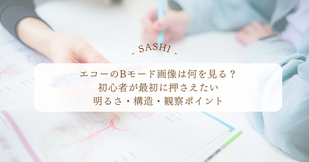 Bモード画像で明るさ・構造・観察ポイントを押さえる