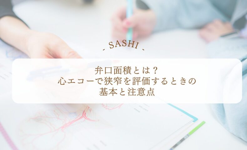 弁口面積で心エコー狭窄を評価する基本と注意点