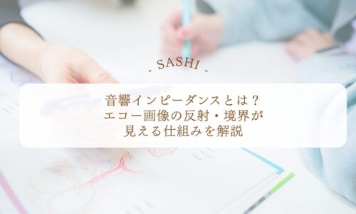音響インピーダンスでエコー画像の反射境界を理解する