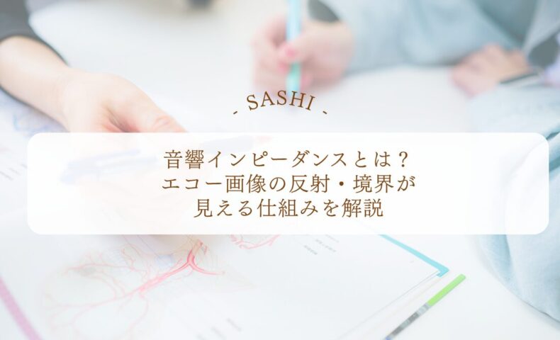 音響インピーダンスでエコー画像の反射境界を理解する