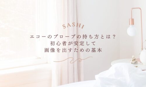 初心者向けエコープローブの持ち方と画像描出の基本