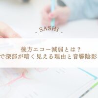 後方エコー減弱と音響陰影の違いを学ぶエコー基礎