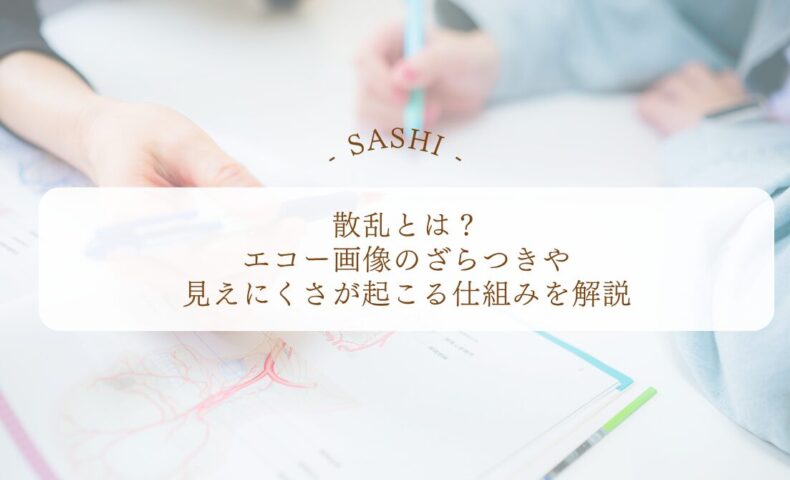 散乱でエコー画像のざらつきと見えにくさを理解する