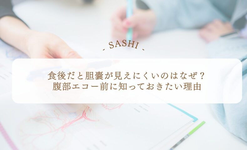 食後に胆嚢が見えにくい理由と腹部エコー前の注意点