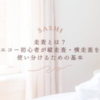エコー走査の基本と縦走査・横走査の使い分け