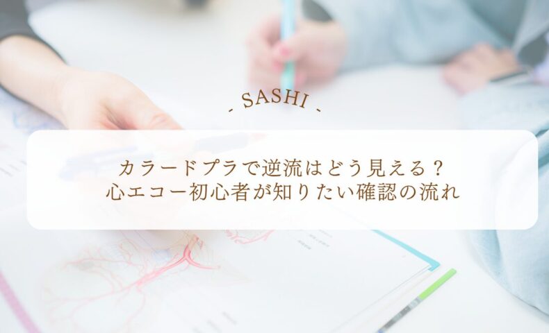 カラードプラ逆流確認の流れを学ぶ心エコー基礎