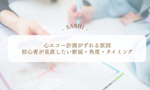 心エコー計測がずれる原因と断面・角度の見直し方