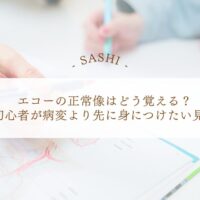 エコー正常像を先に身につける初心者向け学習法