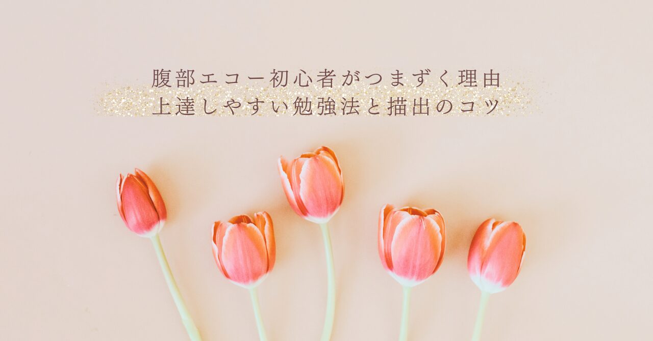 腹部エコー初心者が上達する勉強法と描出のコツ