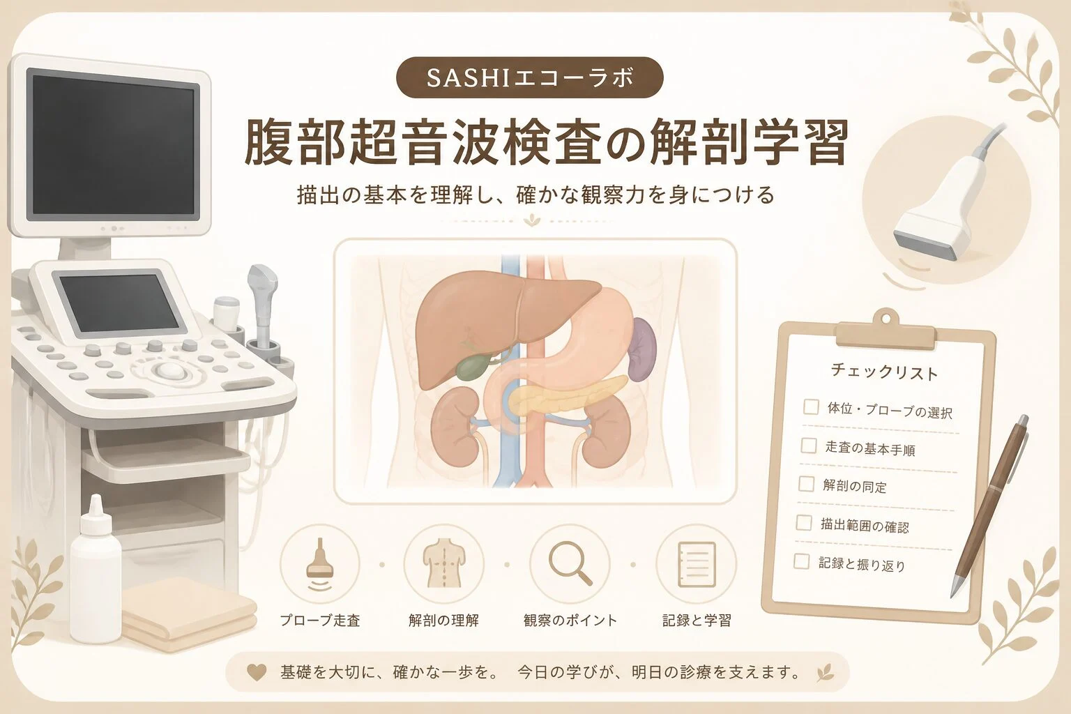 腹部超音波検査の解剖を模式図とチェックリストで学ぶ医療従事者向けのイラスト